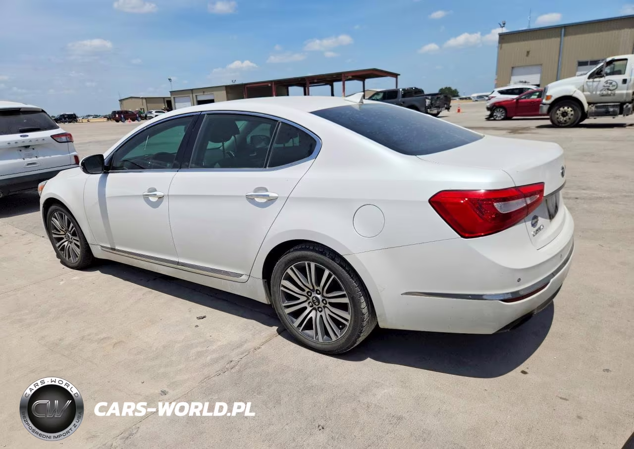 2014 Kia Cadenza Premium VIN:KNALN4D77E5119295 - 2