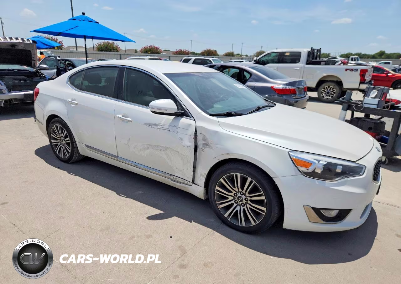 2014 Kia Cadenza Premium VIN:KNALN4D77E5119295 - 4
