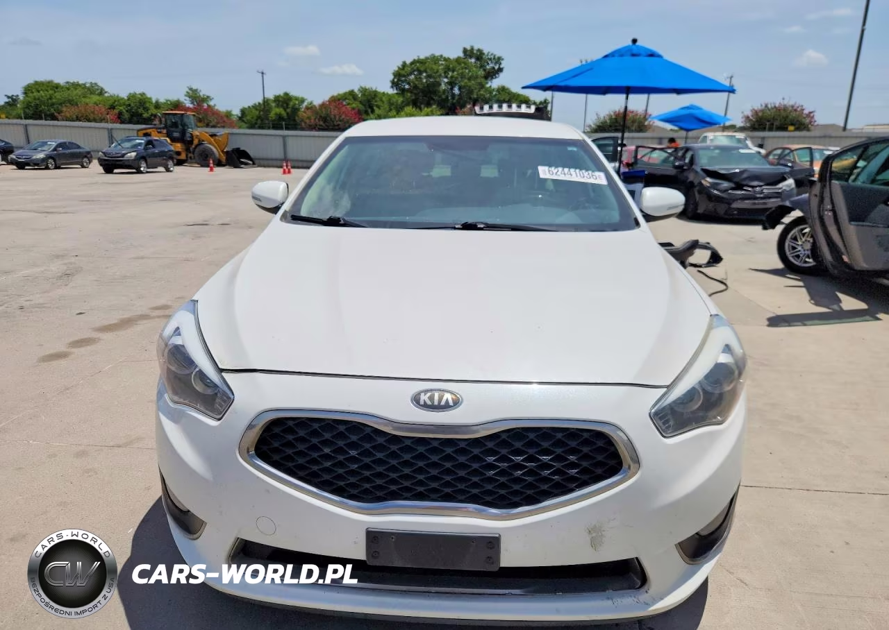 2014 Kia Cadenza Premium VIN:KNALN4D77E5119295 - 5