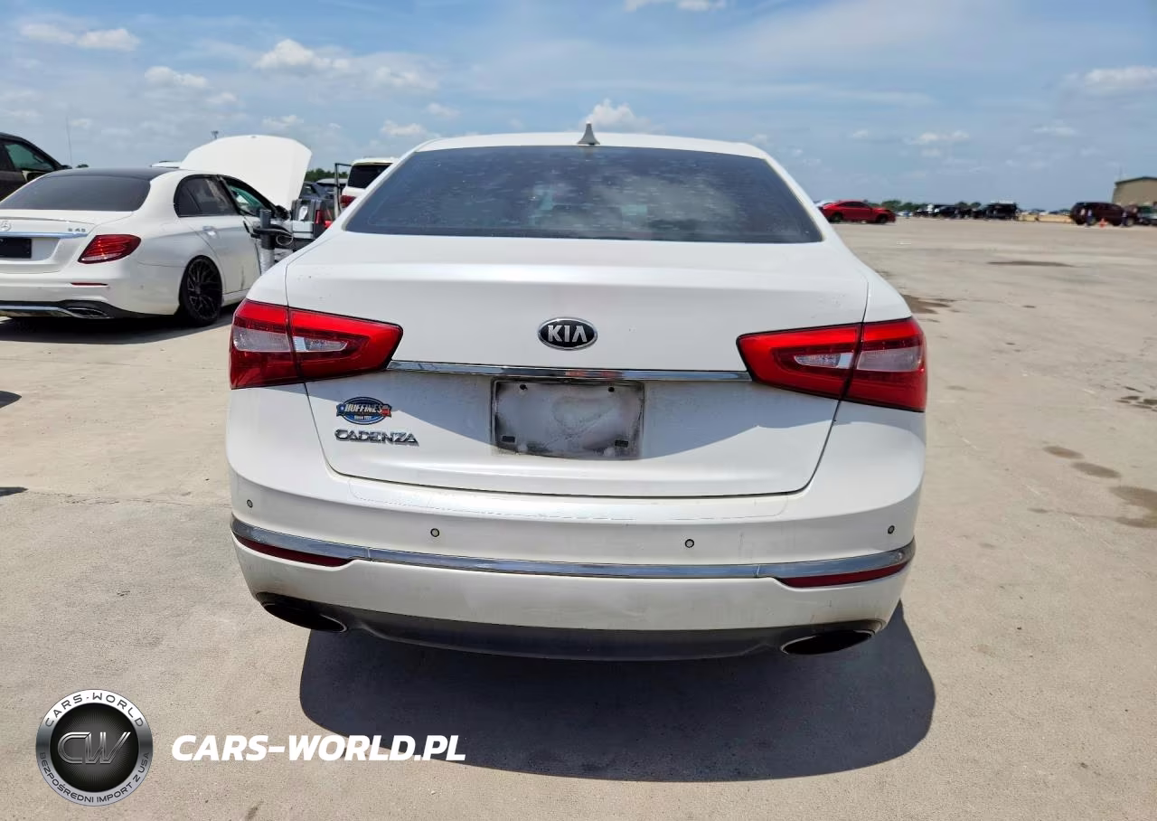 2014 Kia Cadenza Premium VIN:KNALN4D77E5119295 - 6