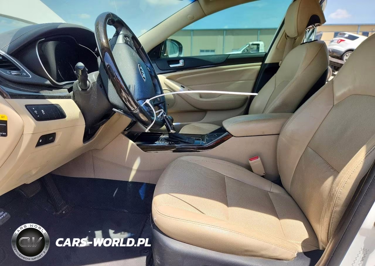 2014 Kia Cadenza Premium VIN:KNALN4D77E5119295 - 7