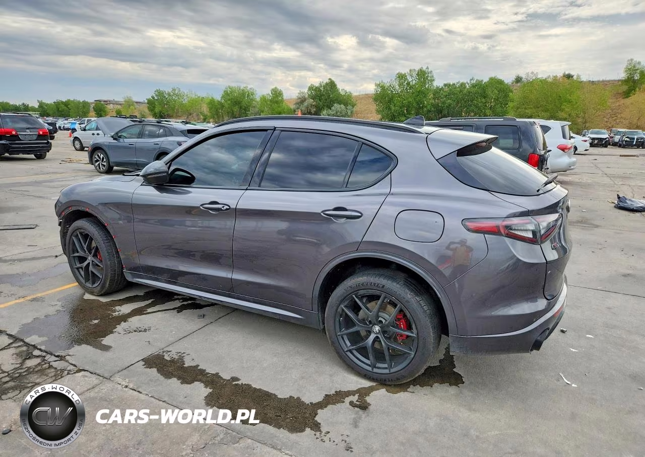 2021 Alfa Romeo Stelvio Ti VIN:ZASPAKBN4M7D09829 - 2