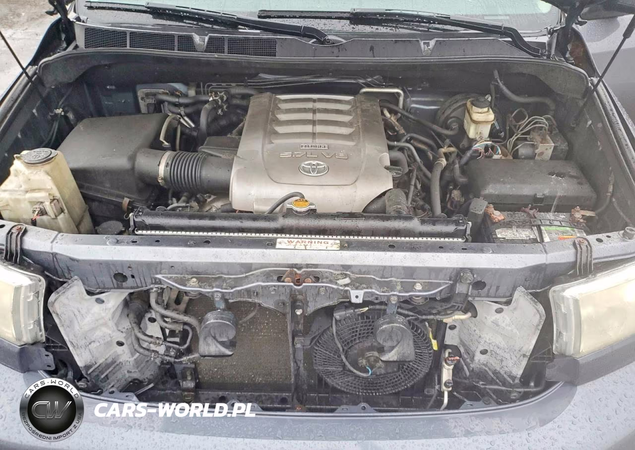 2010 Toyota Sequoia Limited VIN:5TDJY5G18AS035411 - 12