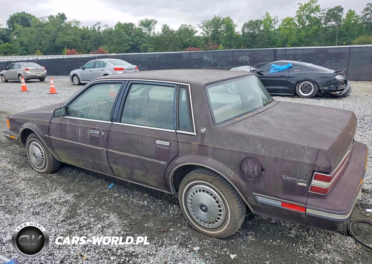 1987 Buick Century Custom VIN:1G4AH51W9HT468537 - 2