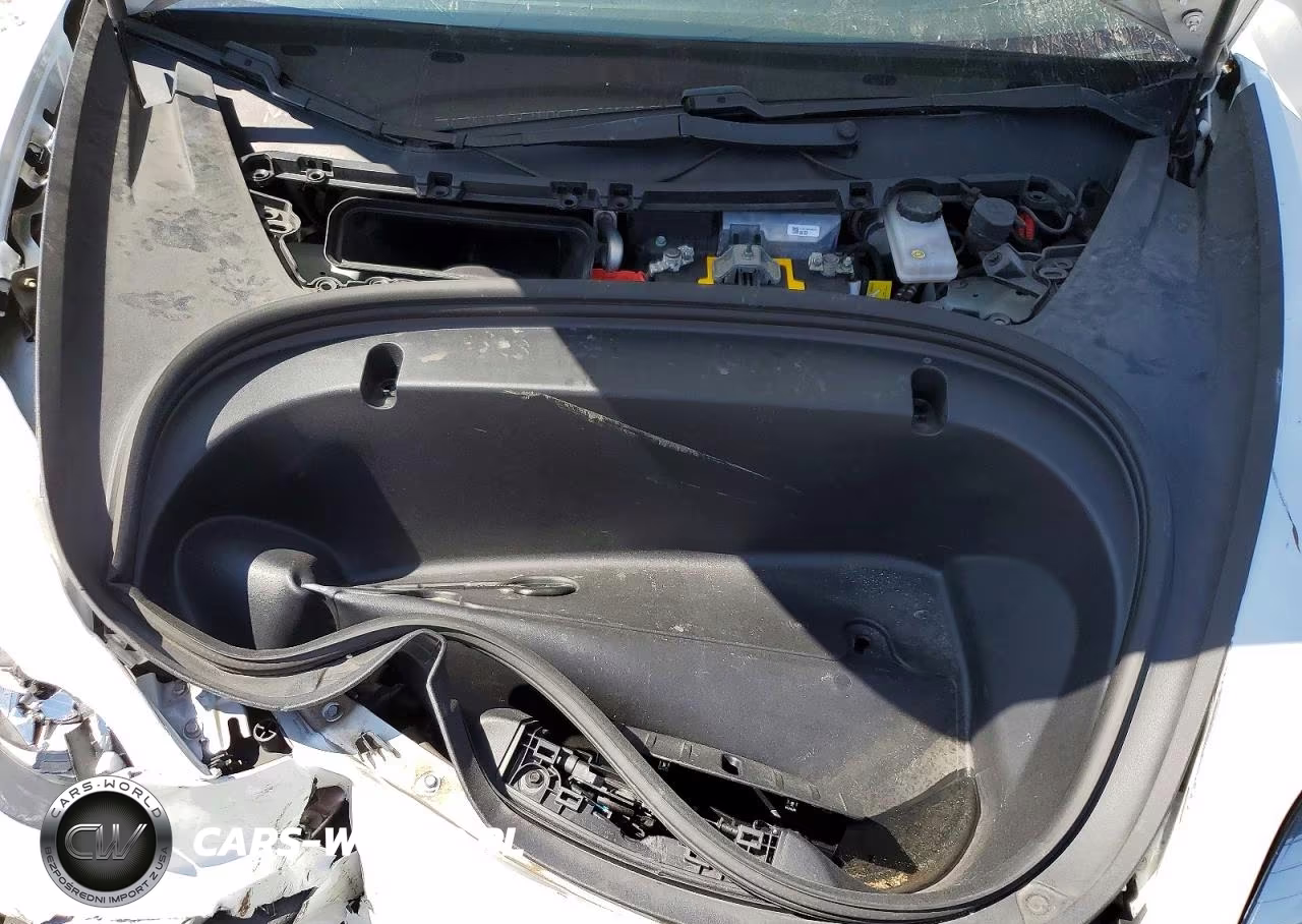 2020 Tesla Model 3 VIN:5YJ3E1EA7LF747252 - 11