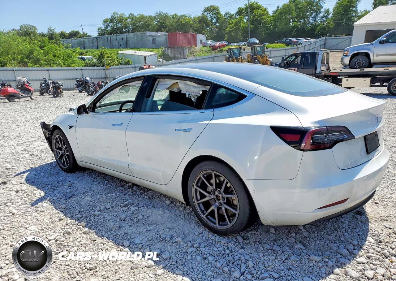 2020 Tesla Model 3 VIN:5YJ3E1EA7LF747252 - 2