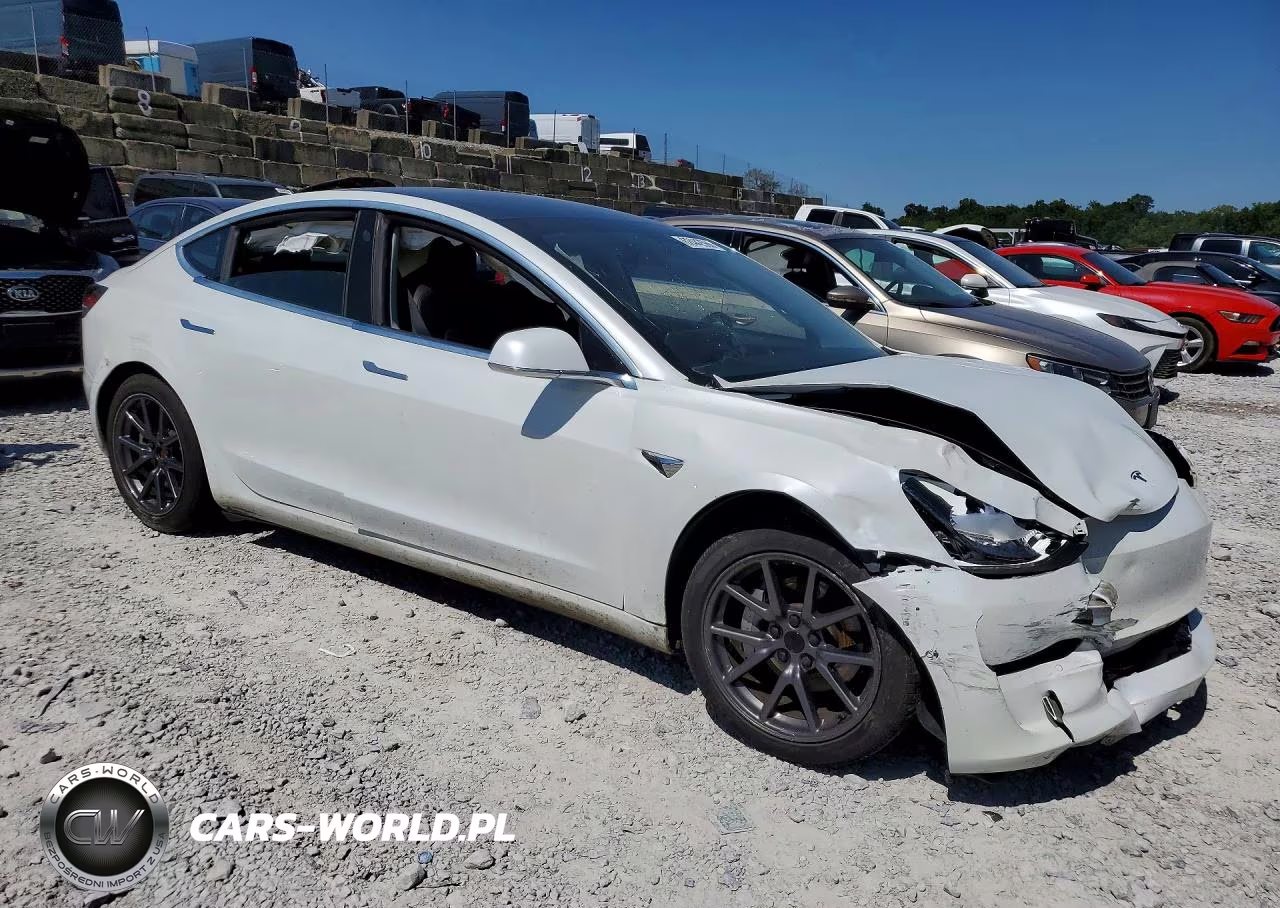 2020 Tesla Model 3 VIN:5YJ3E1EA7LF747252 - 4