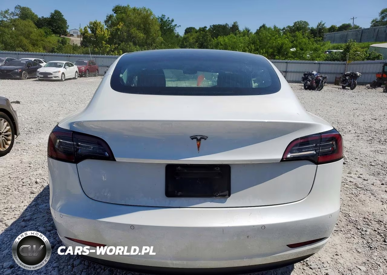 2020 Tesla Model 3 VIN:5YJ3E1EA7LF747252 - 6