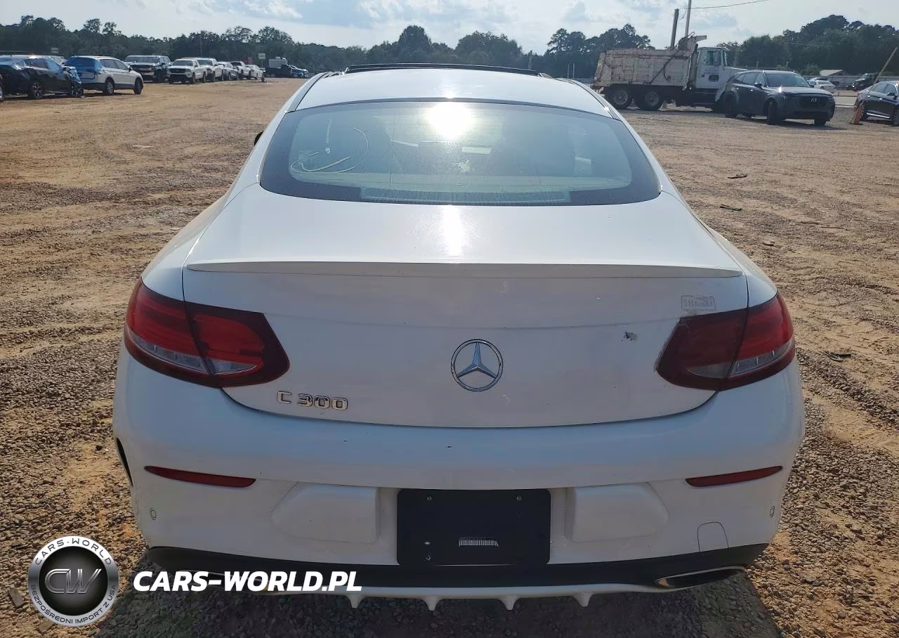 2017 Mercedes-Benz C 300 VIN:WDDWJ4JB1HF581313 - 6