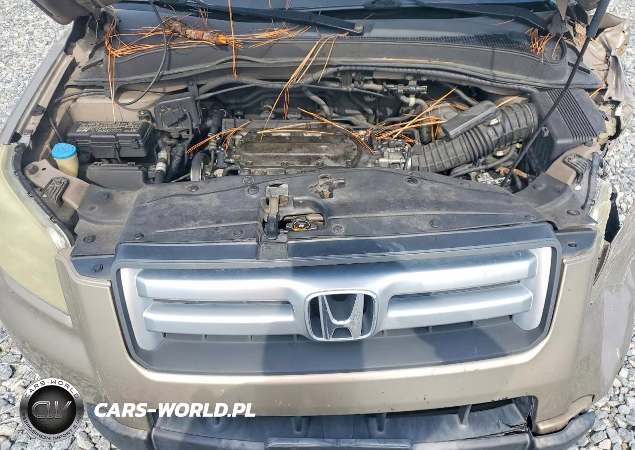 2006 Honda Pilot Ex VIN:5FNYF28596B024806 - 12