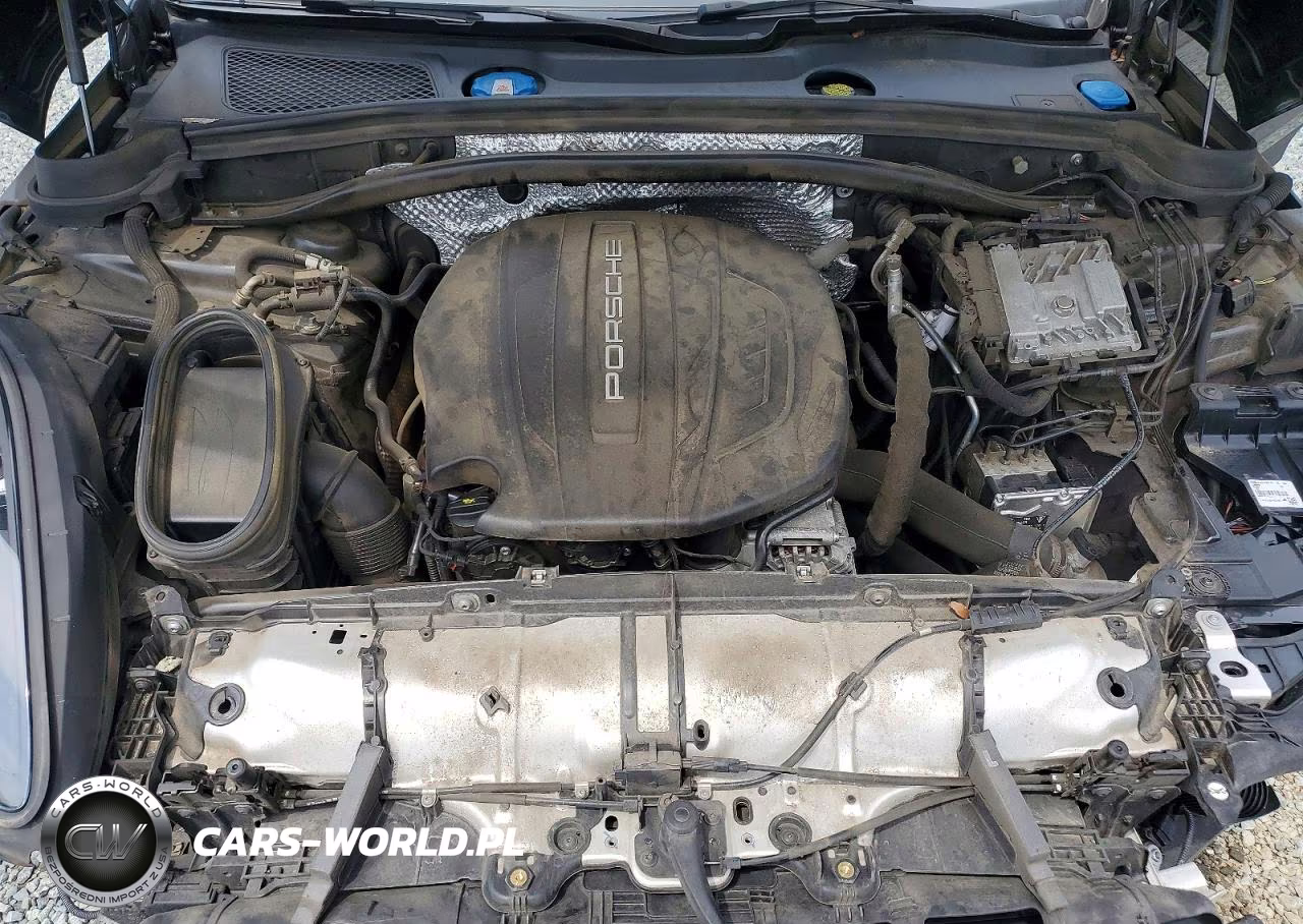 2020 Porsche Macan VIN:WP1AA2A54LLB00496 - 12