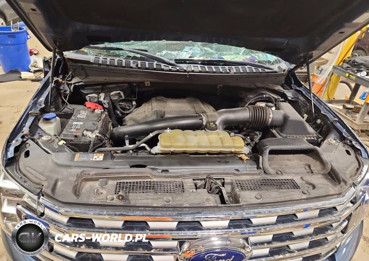 2020 Ford Expedition Limited VIN:1FMJU2AT0LEA90749 - 12