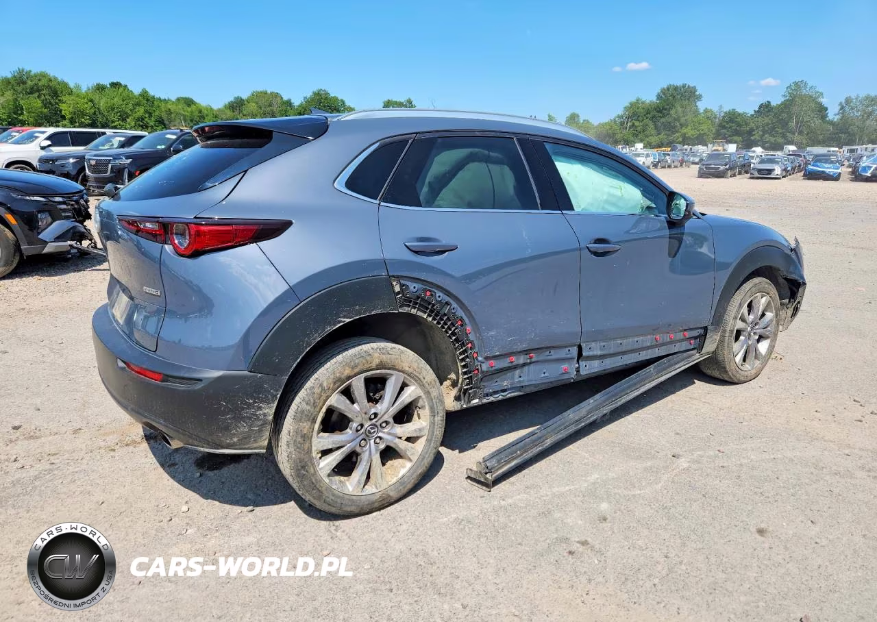 2021 Mazda Cx-30 Premium VIN:3MVDMBDMXMM221251 - 3