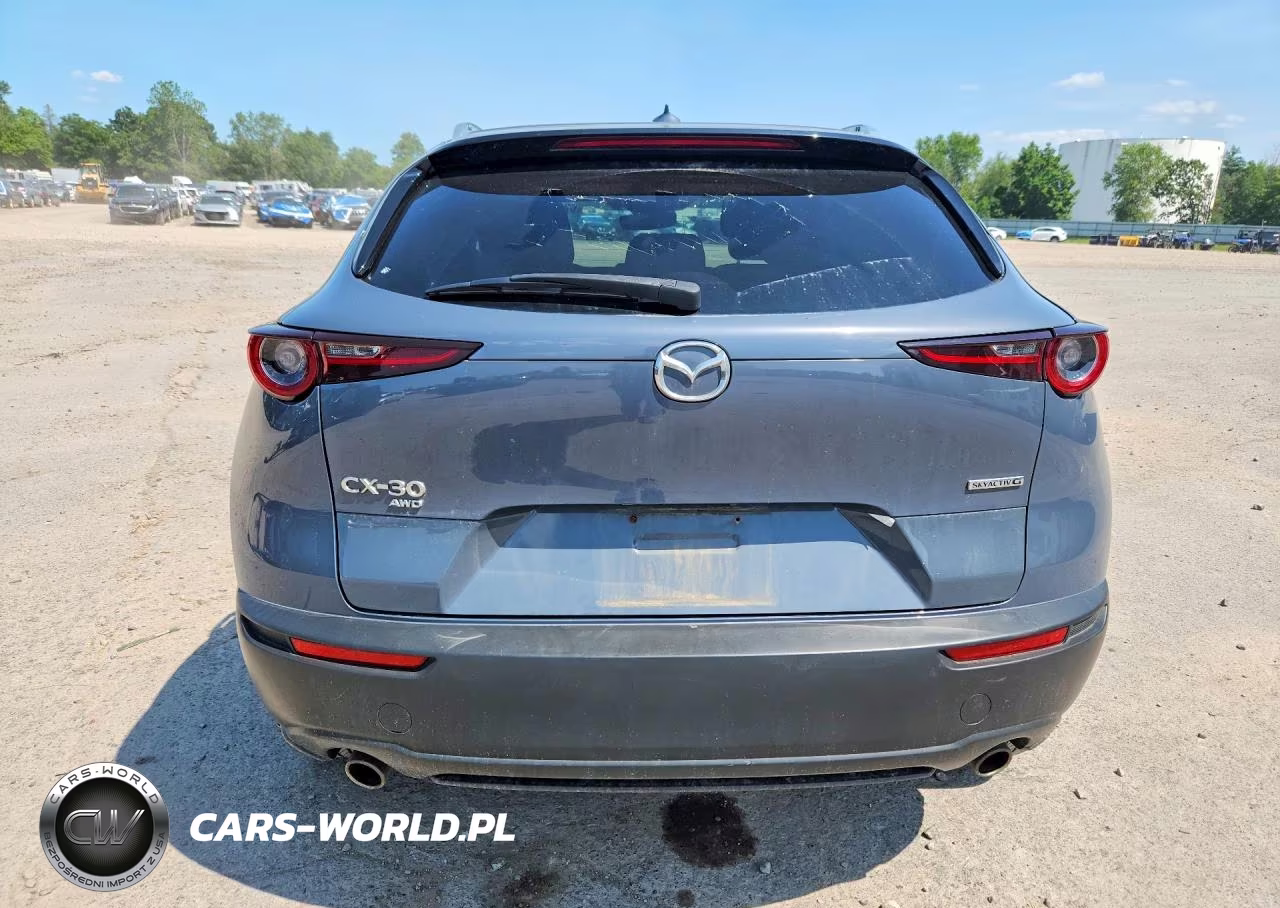2021 Mazda Cx-30 Premium VIN:3MVDMBDMXMM221251 - 6