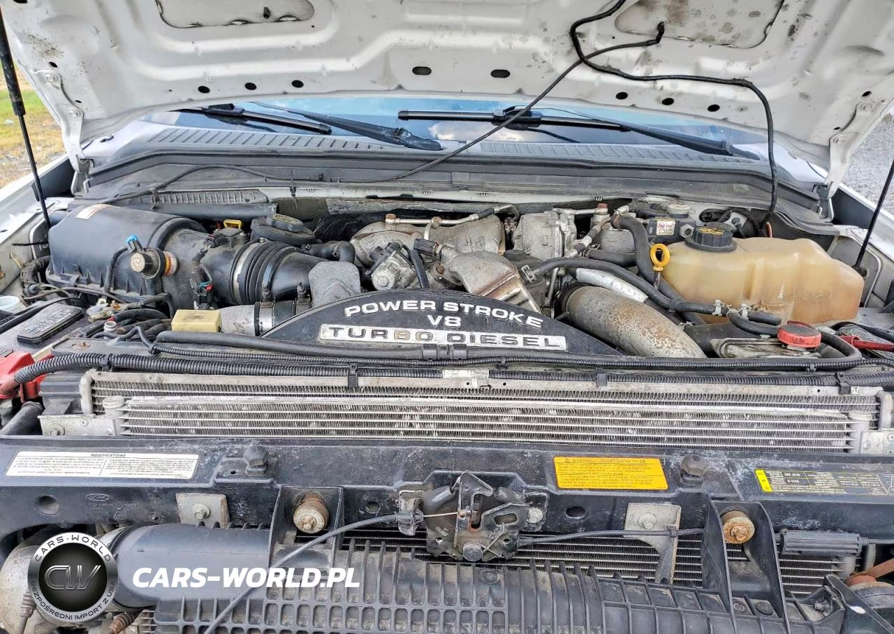 2009 Ford F250 Super Duty VIN:1FTSW21R49EA76059 - 11
