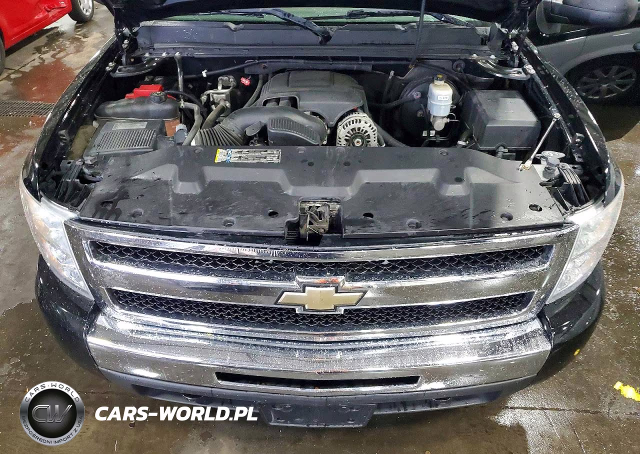 2010 Chevrolet Silverado K1500 VIN:1GCPKPEA5AZ258272 - 11