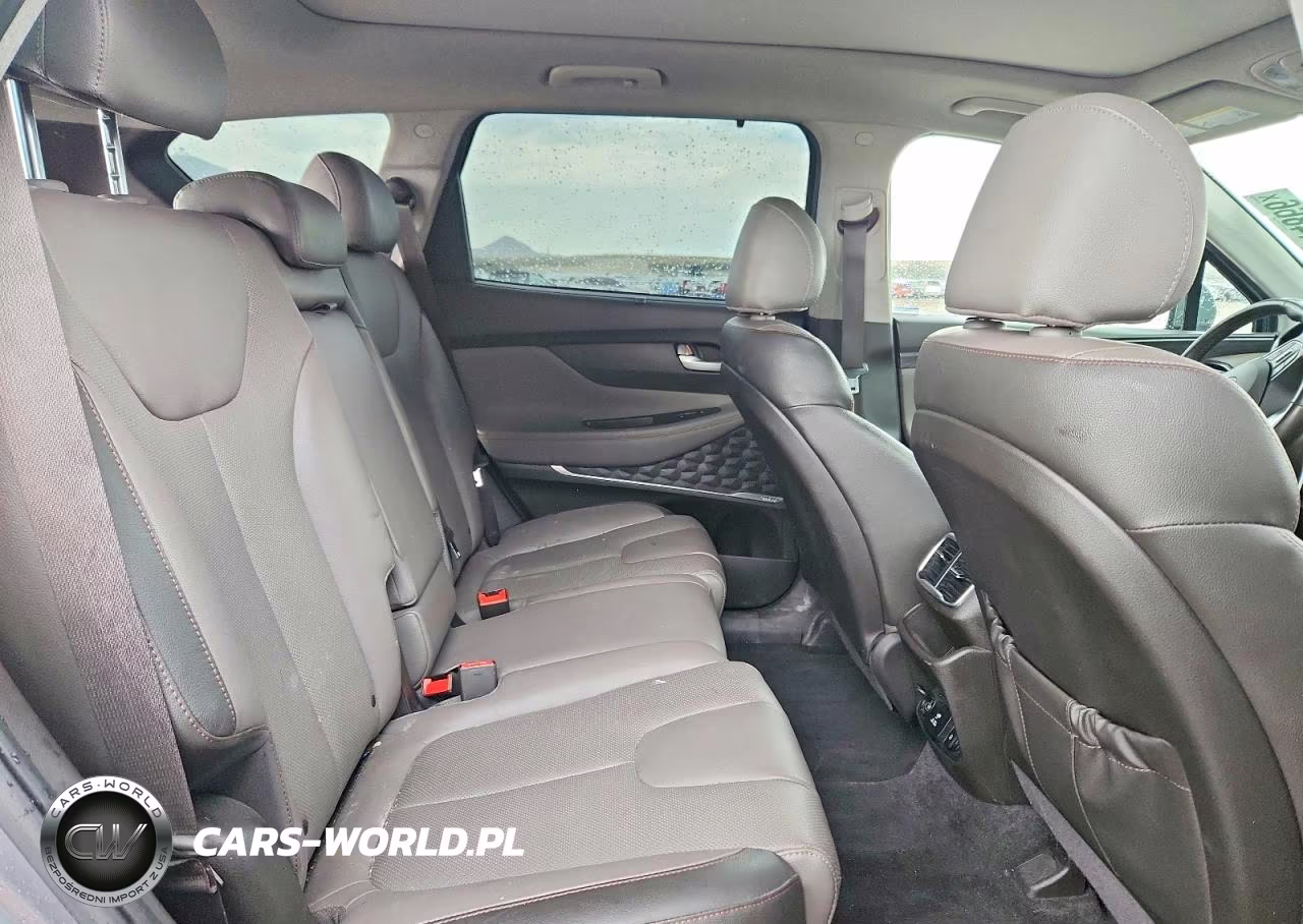 HYUNDAI SANTA FE L VIN:5NMS5CAA2KH059265 - 10