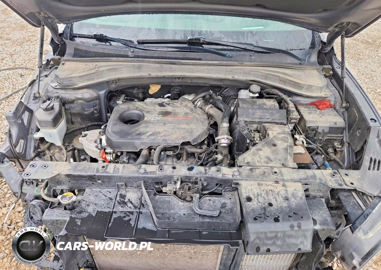 HYUNDAI SANTA FE L VIN:5NMS5CAA2KH059265 - 11