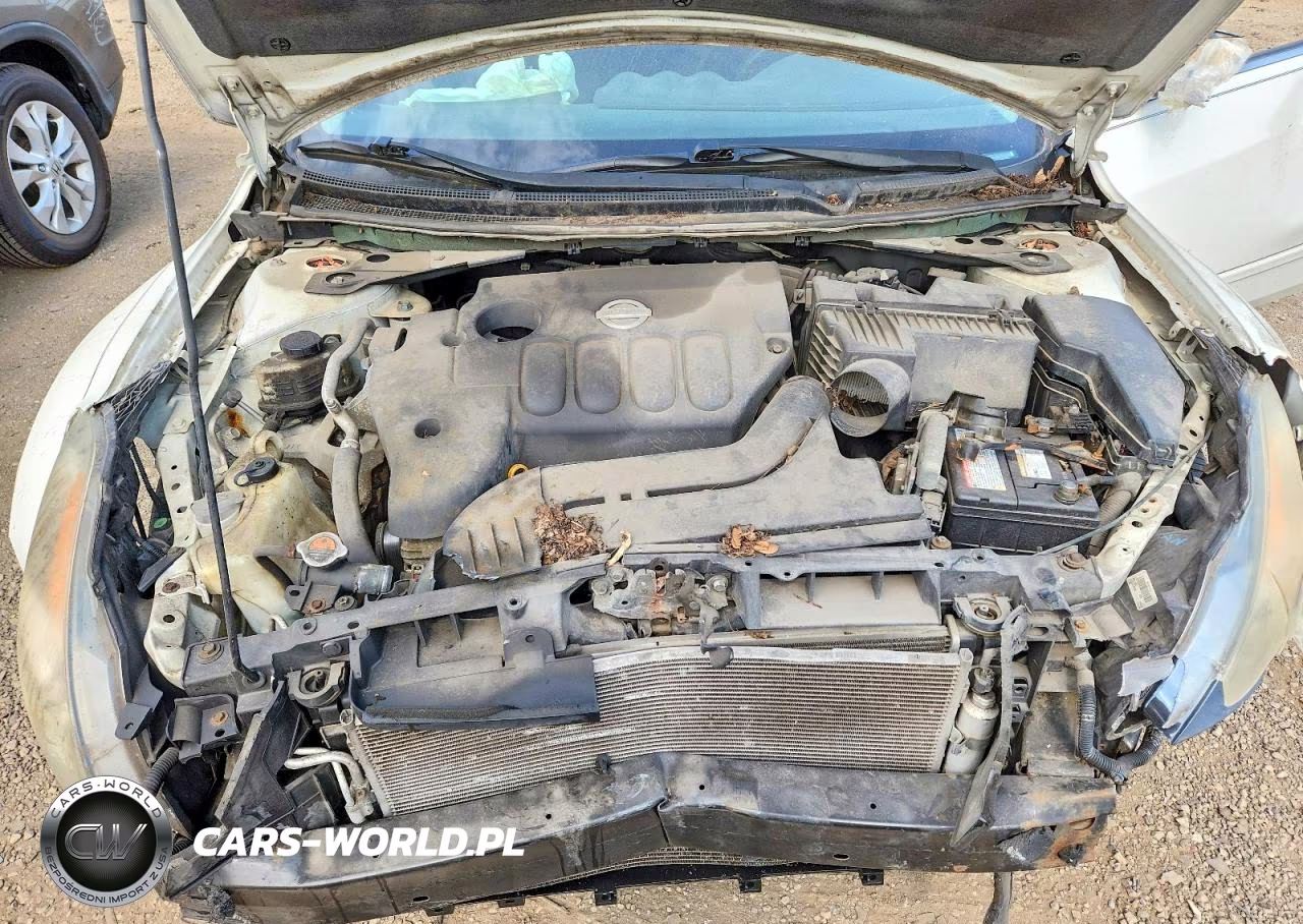 2009 Nissan Altima 2.5 VIN:1N4AL21E69N410955 - 11