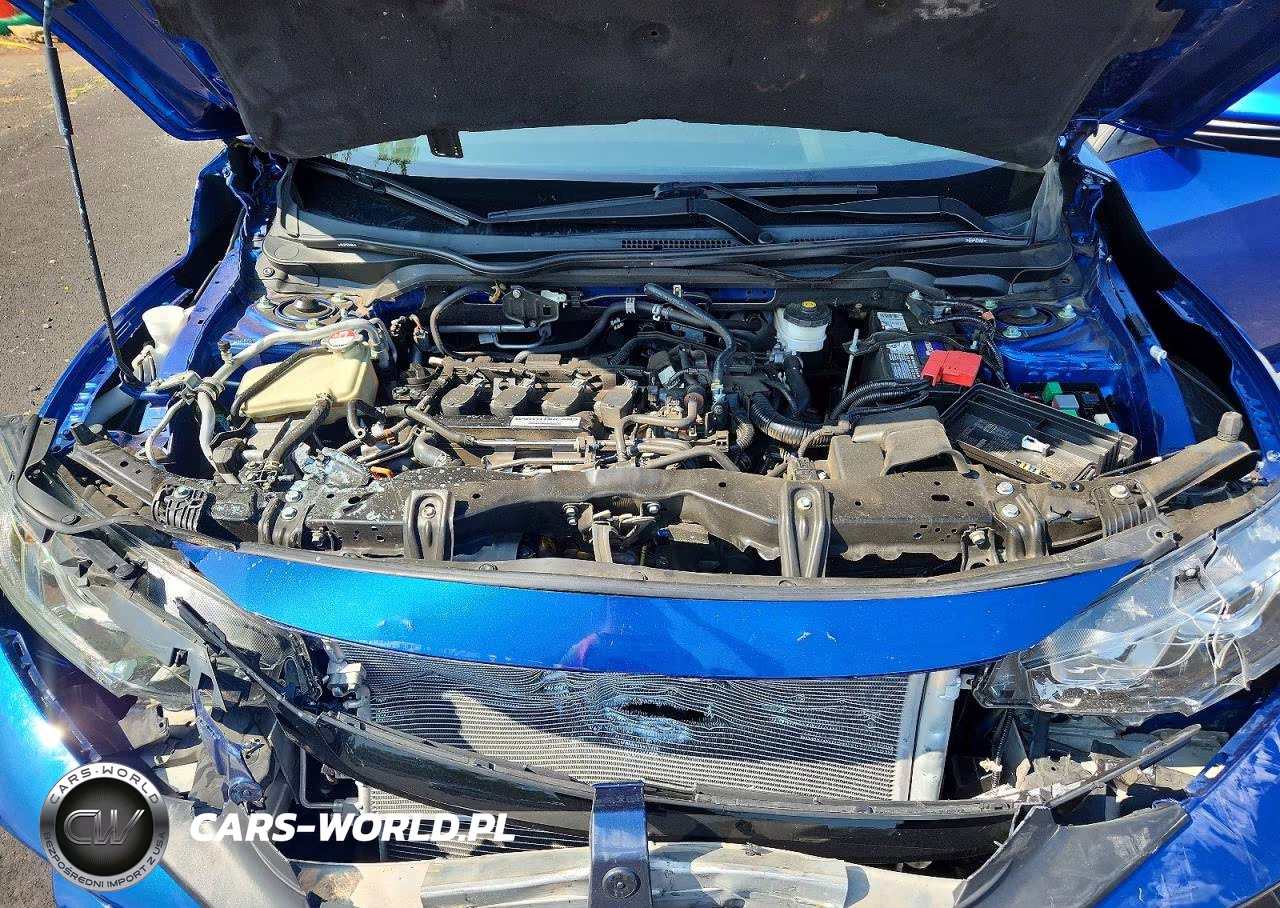 2017 Honda Civic Lx VIN:SHHFK7H26HU417119 - 11