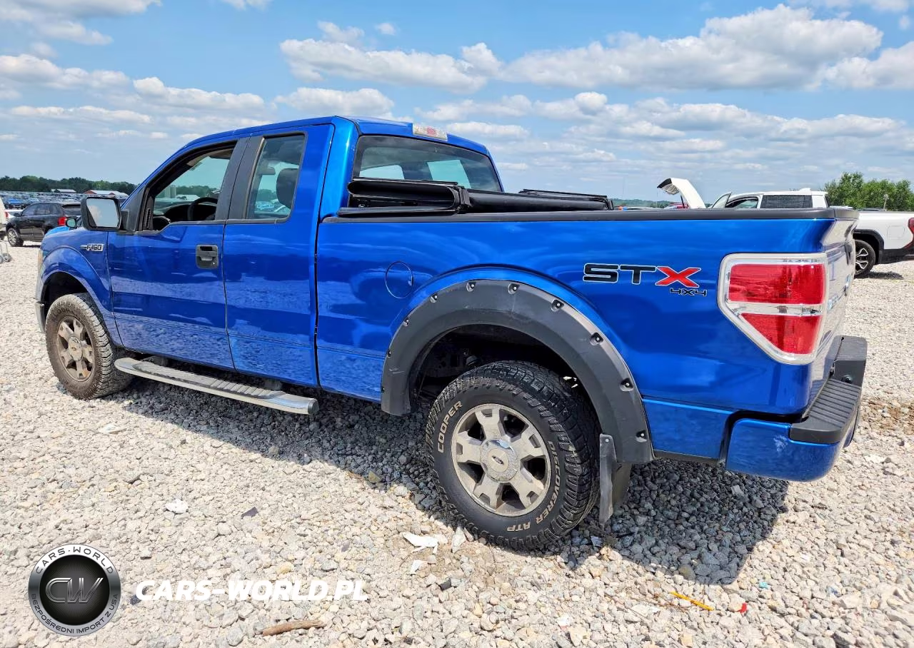 2009 Ford F150 Super Cab VIN:1FTRX14WX9FB48450 - 2