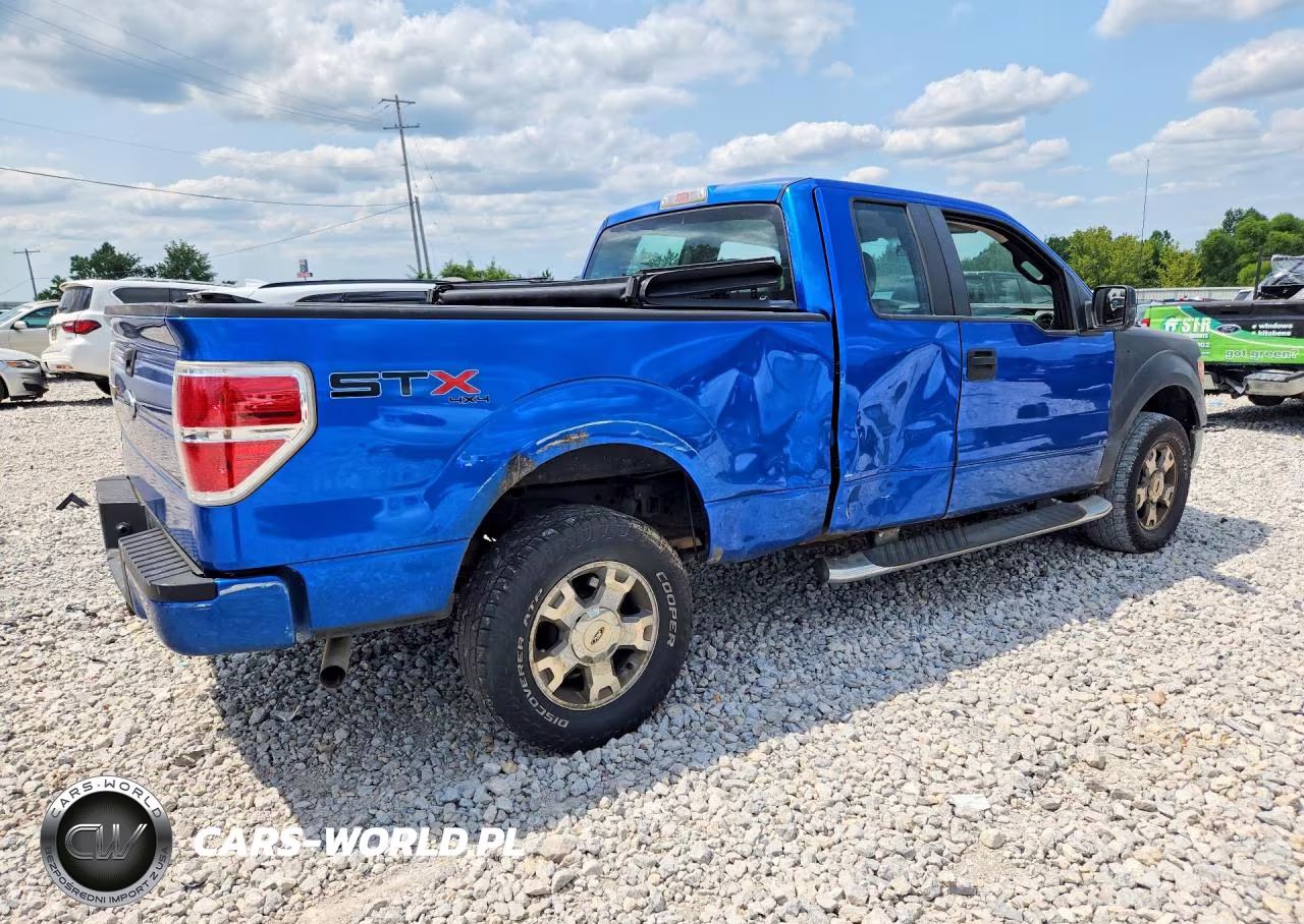 2009 Ford F150 Super Cab VIN:1FTRX14WX9FB48450 - 3