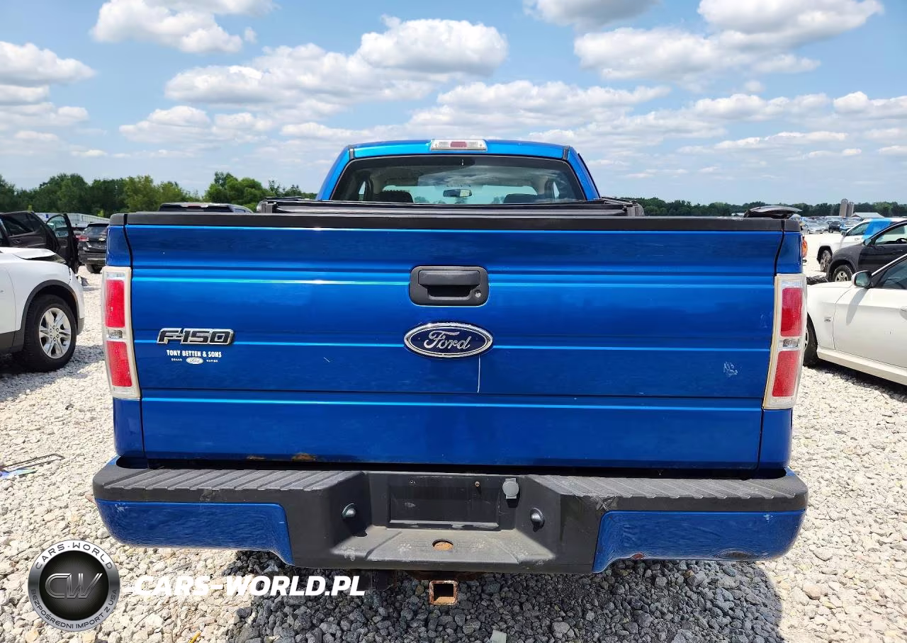 2009 Ford F150 Super Cab VIN:1FTRX14WX9FB48450 - 6