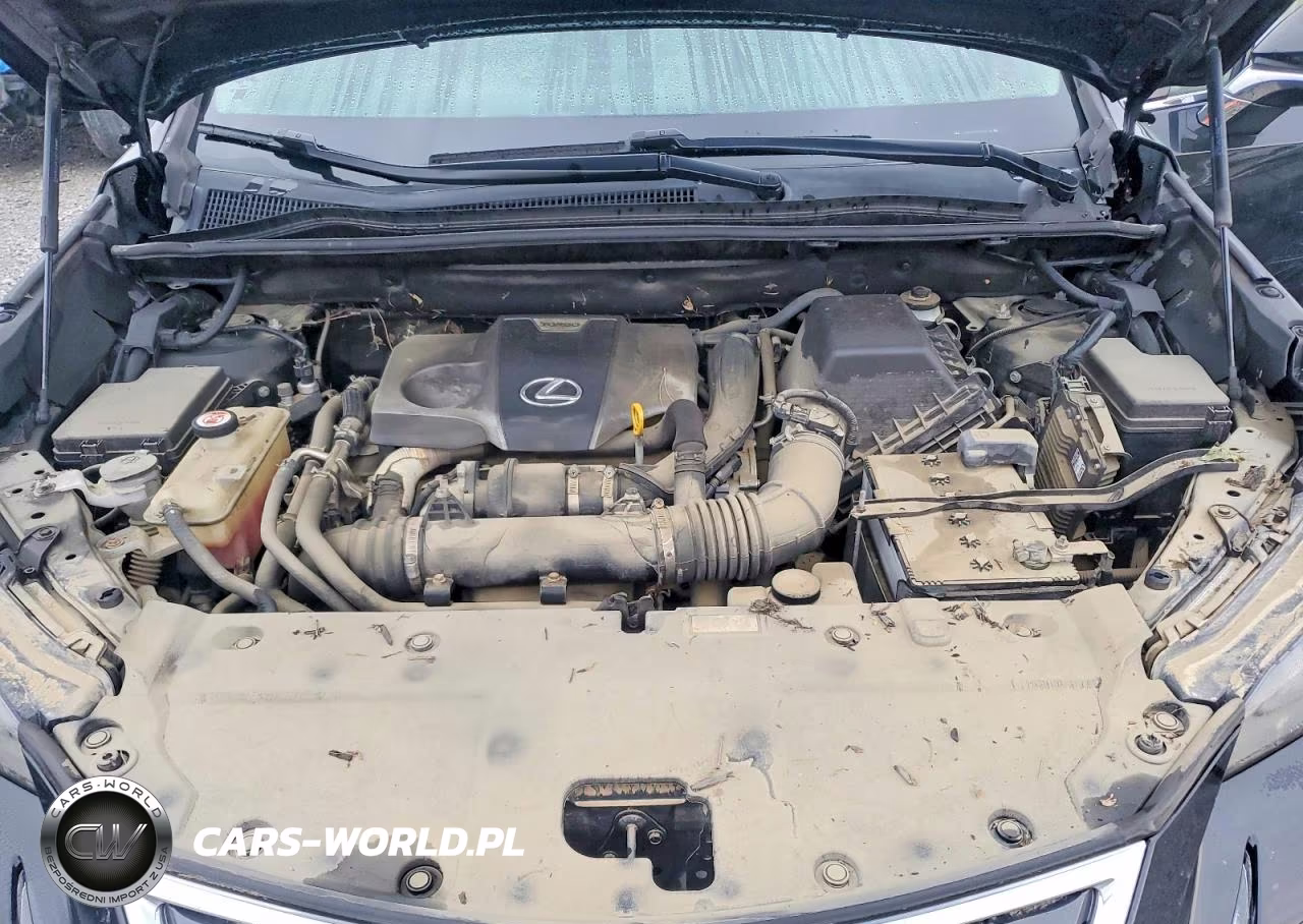 2019 Lexus Nx 300 Base VIN:JTJBARBZ2K2198168 - 11