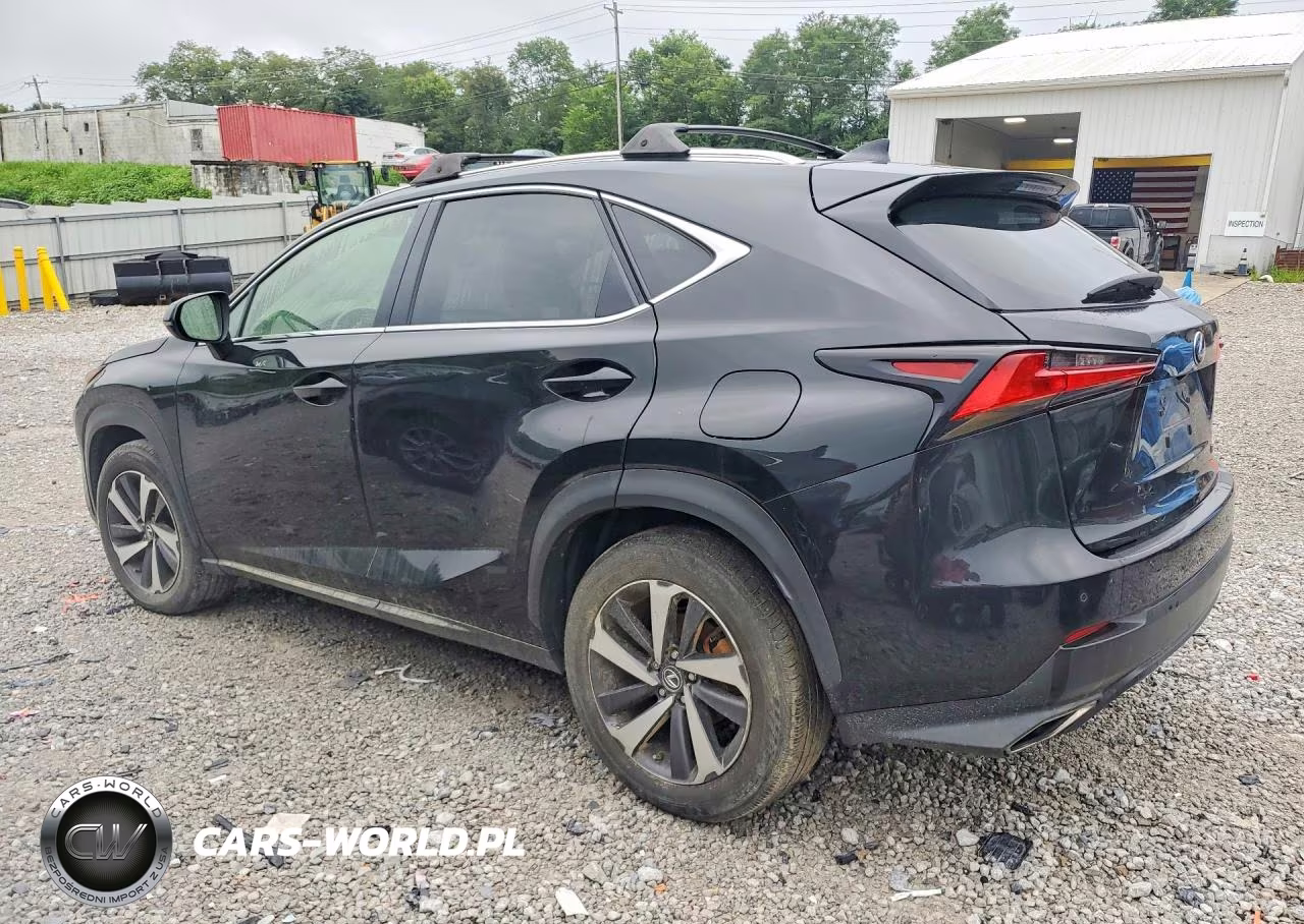 2019 Lexus Nx 300 Base VIN:JTJBARBZ2K2198168 - 2
