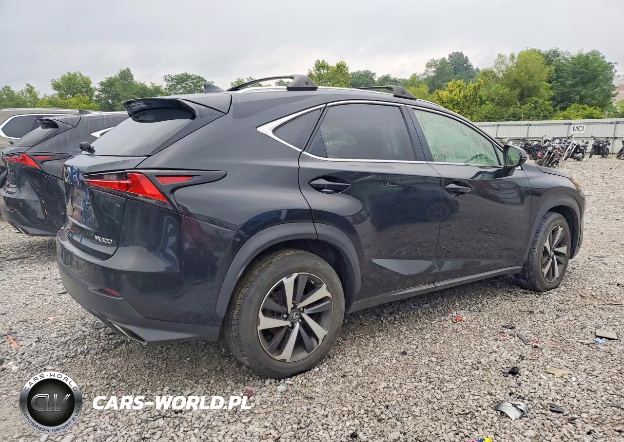 2019 Lexus Nx 300 Base VIN:JTJBARBZ2K2198168 - 3