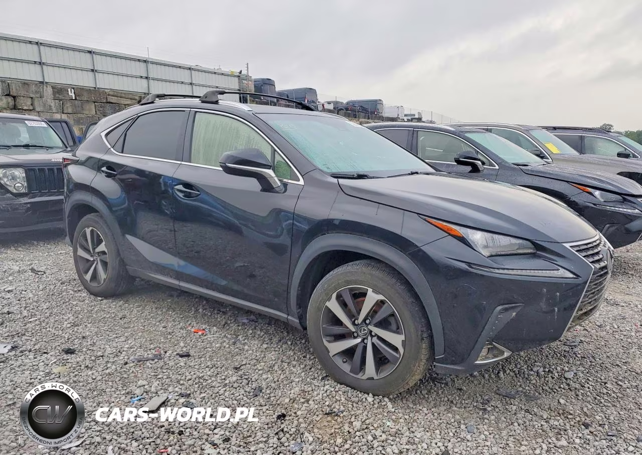 2019 Lexus Nx 300 Base VIN:JTJBARBZ2K2198168 - 4