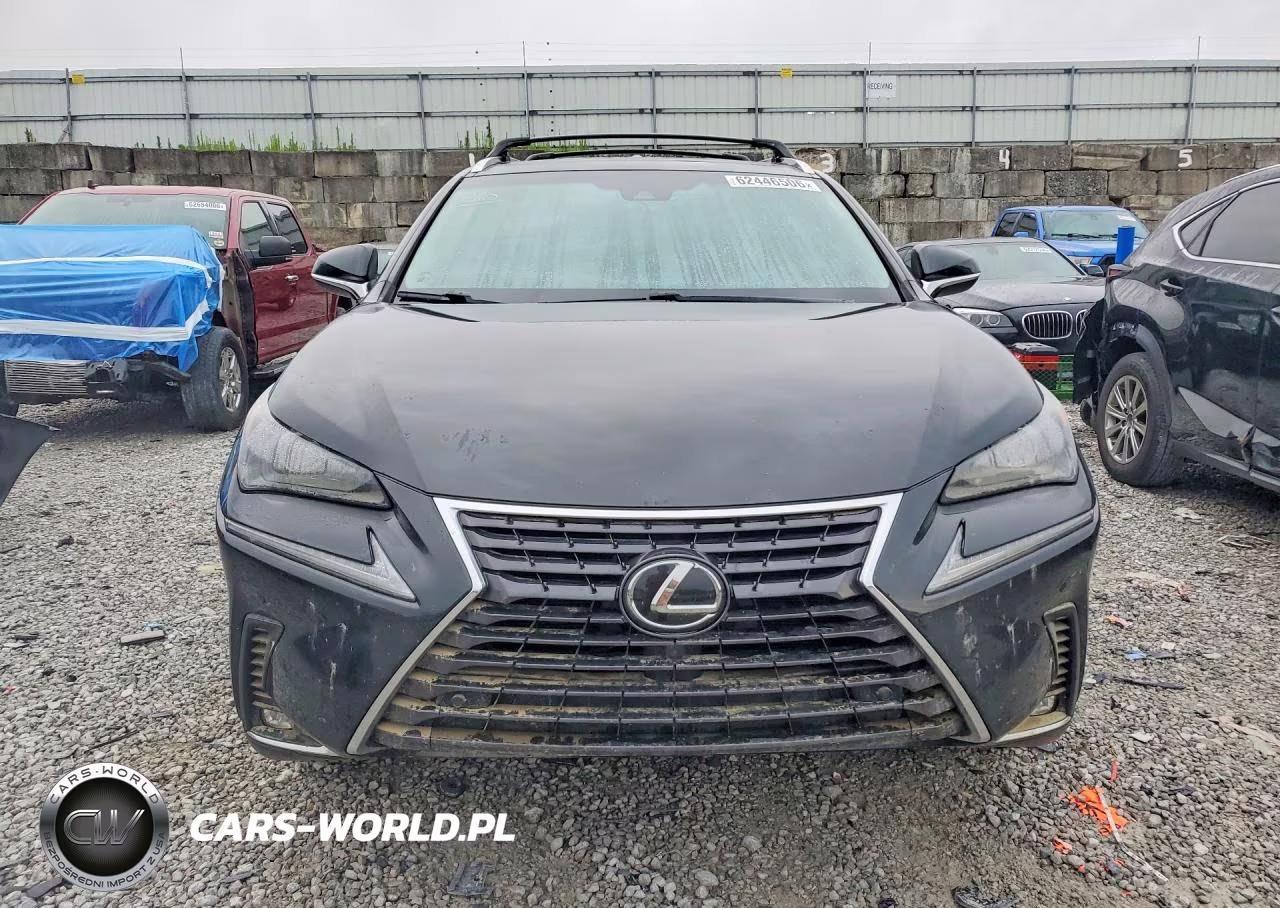 2019 Lexus Nx 300 Base VIN:JTJBARBZ2K2198168 - 5