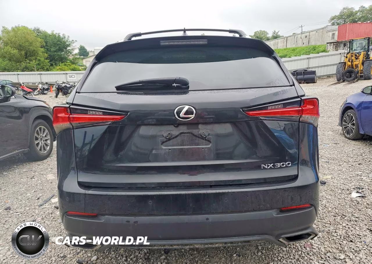 2019 Lexus Nx 300 Base VIN:JTJBARBZ2K2198168 - 6
