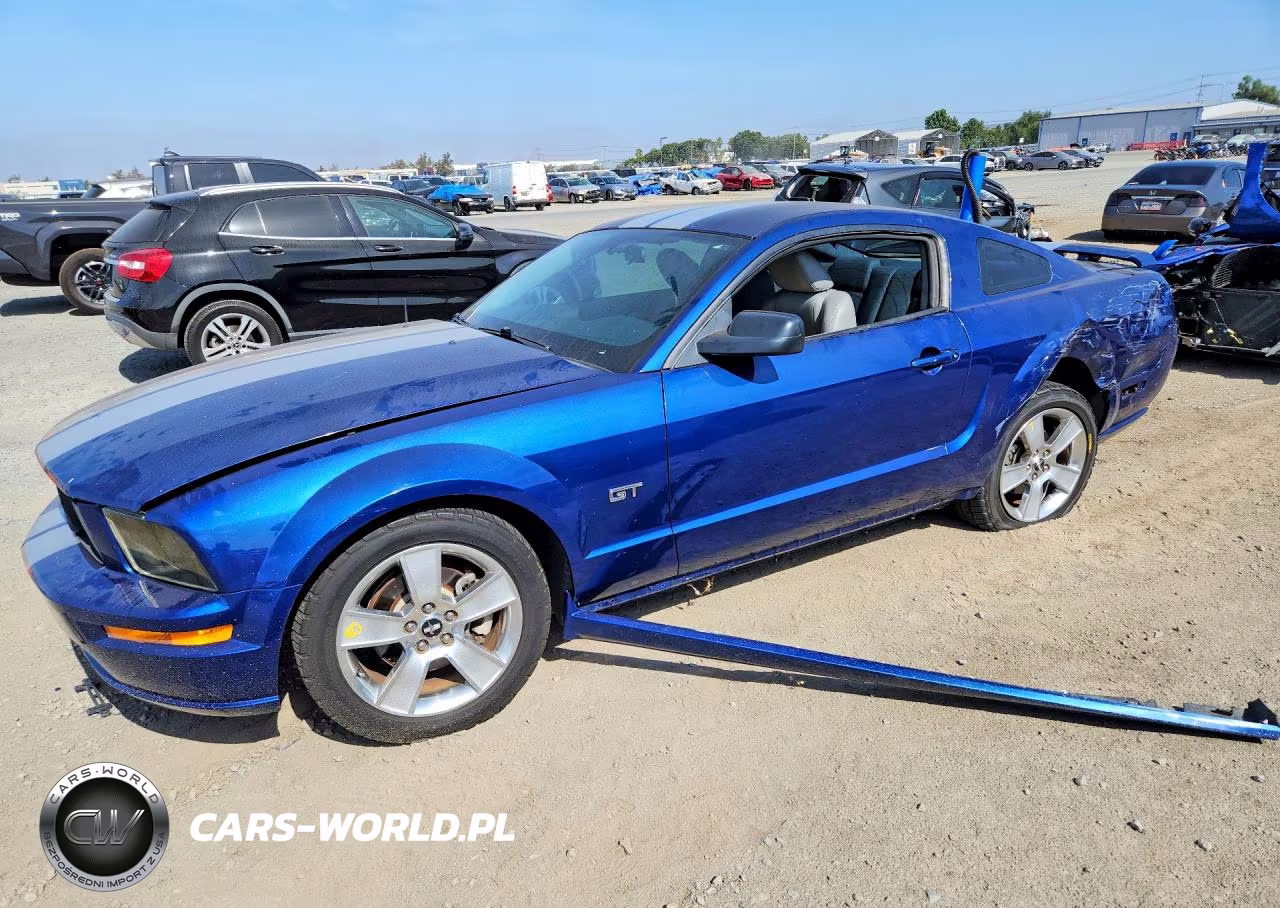 2006 Ford Mustang Gt VIN:1ZVFT82H365213911 - 1