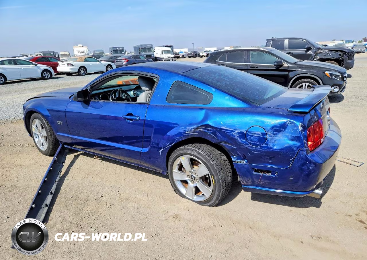 2006 Ford Mustang Gt VIN:1ZVFT82H365213911 - 2