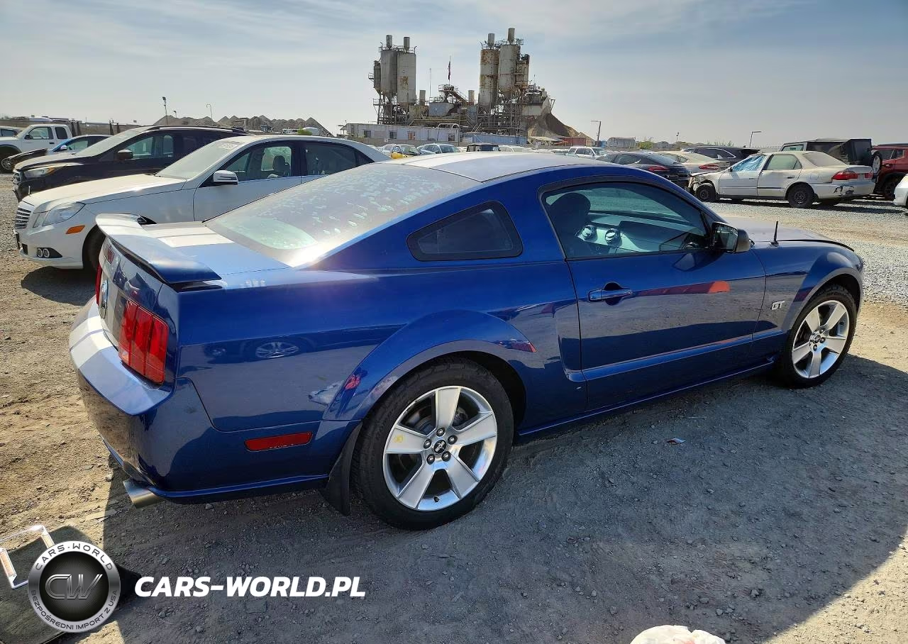 2006 Ford Mustang Gt VIN:1ZVFT82H365213911 - 3