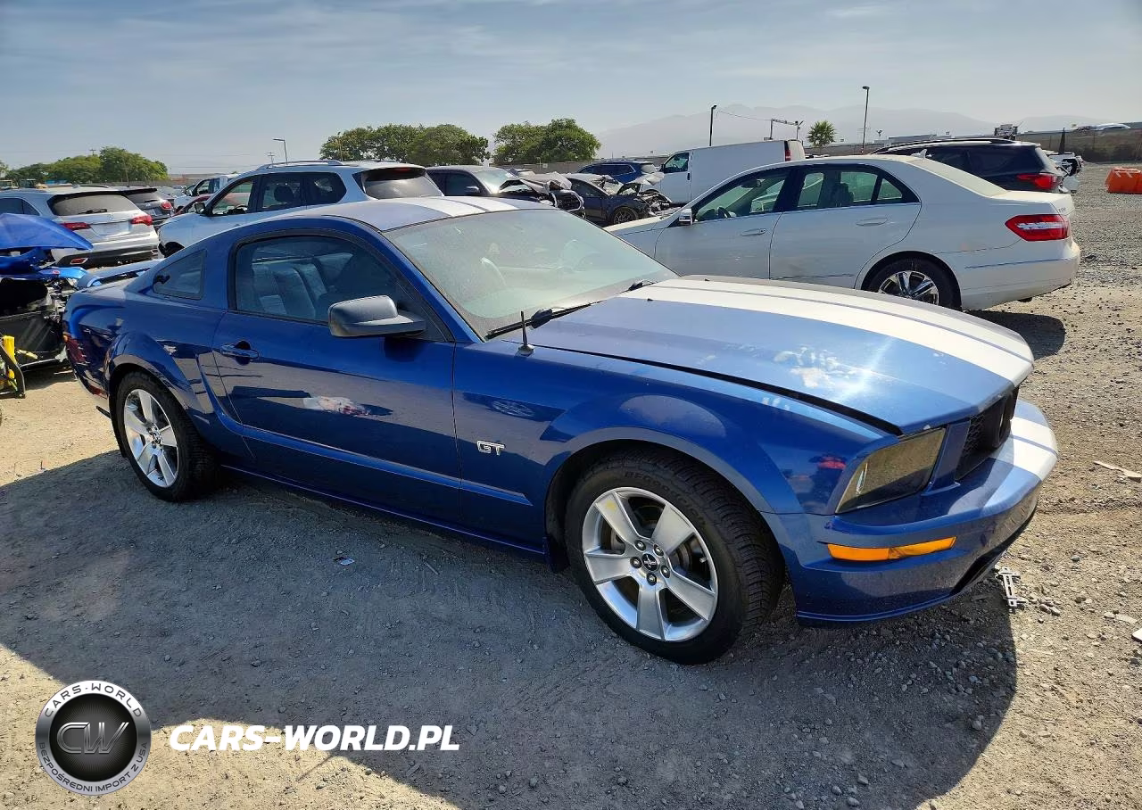 2006 Ford Mustang Gt VIN:1ZVFT82H365213911 - 4