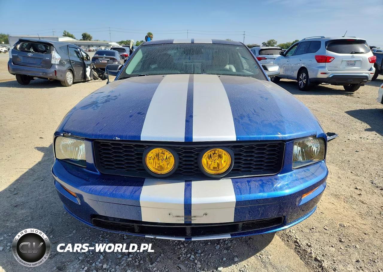 2006 Ford Mustang Gt VIN:1ZVFT82H365213911 - 5