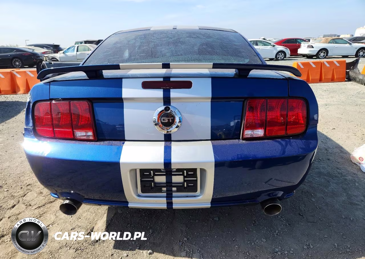 2006 Ford Mustang Gt VIN:1ZVFT82H365213911 - 6