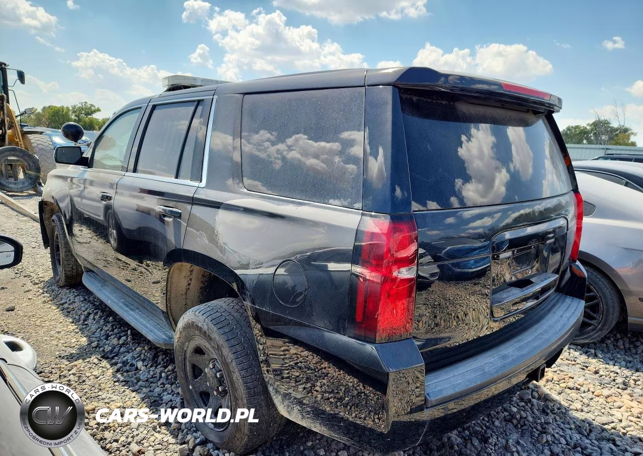 2020 Chevrolet Tahoe Police VIN:1GNSKDEC9LR154310 - 2