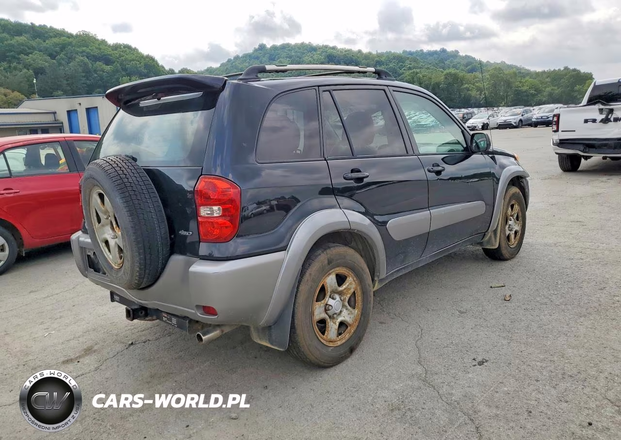 2004 Toyota Rav4 Base VIN:JTEHD20V646016720 - 3