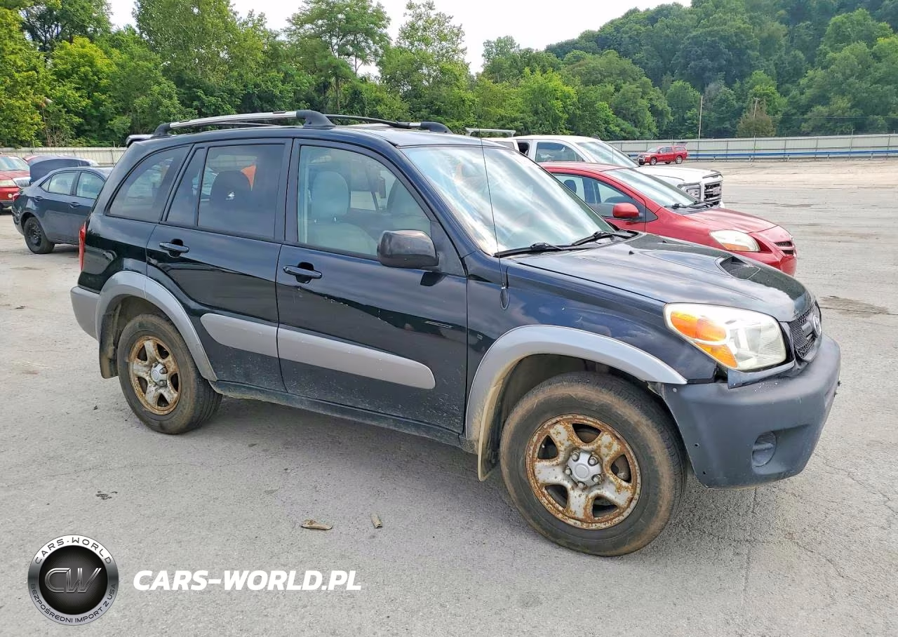2004 Toyota Rav4 Base VIN:JTEHD20V646016720 - 4