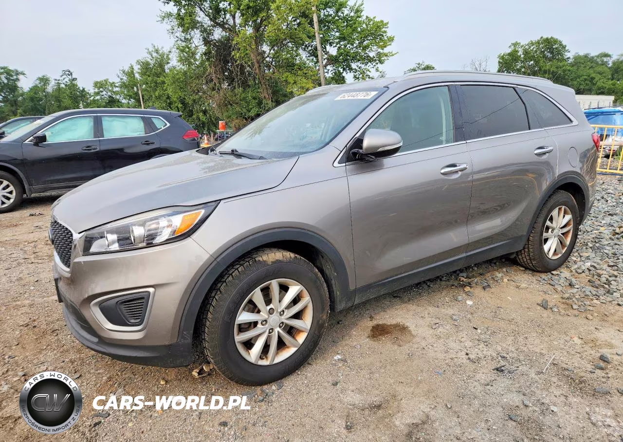 2017 Kia Sorento Lx VIN:5XYPG4A39HG298273 - 1