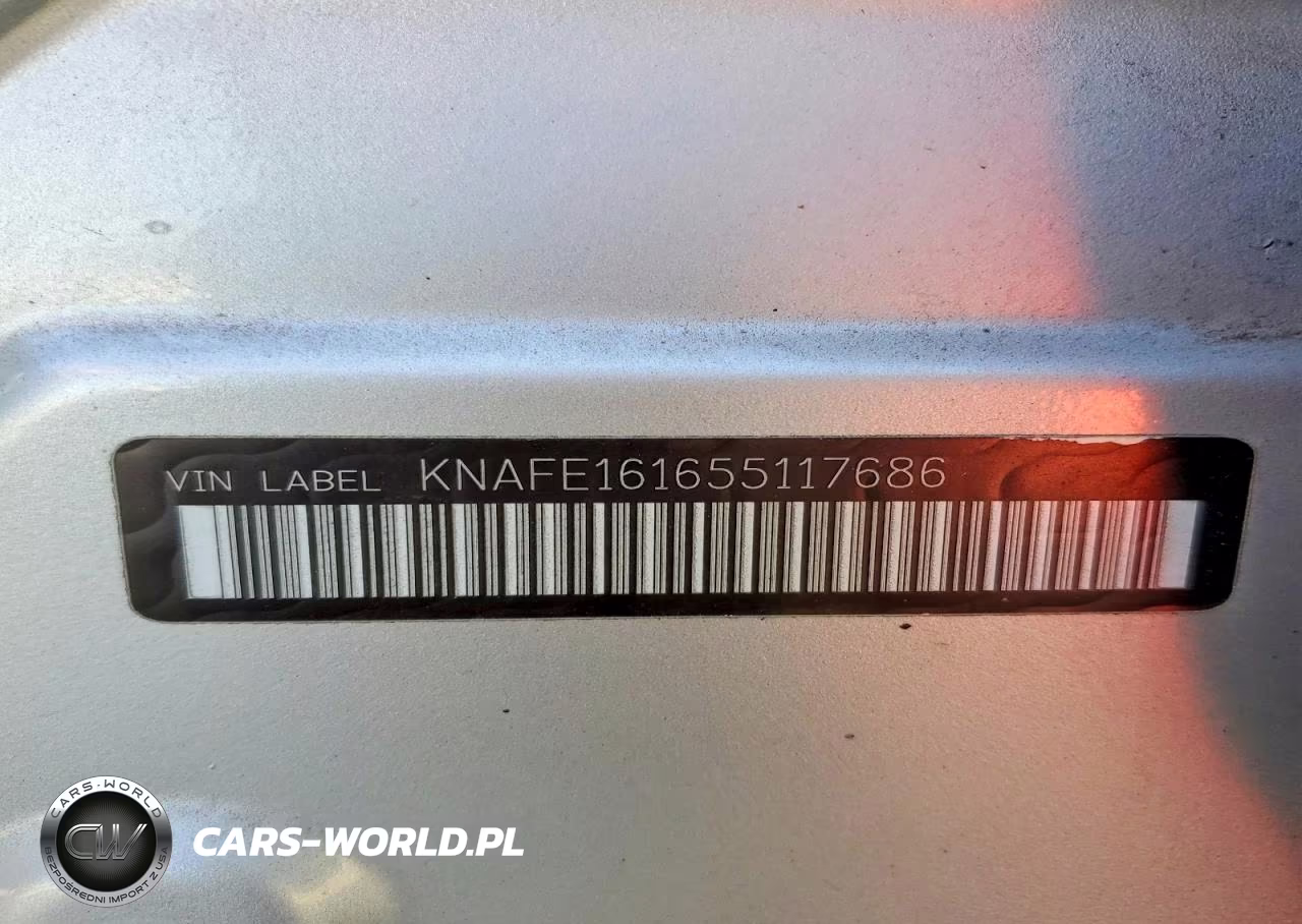 2005 Kia Spectra Spectra5 VIN:KNAFE161655117686 - 13