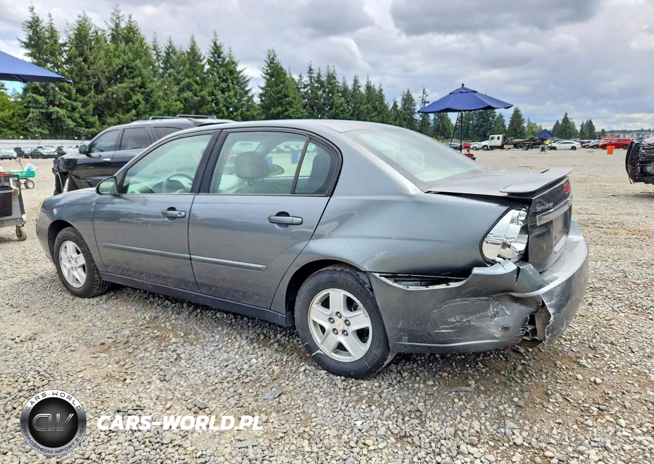 2005 Chevrolet Malibu Ls VIN:1G1ZT54835F316047 - 2