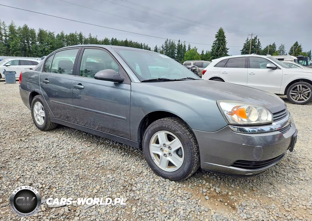 2005 Chevrolet Malibu Ls VIN:1G1ZT54835F316047 - 4