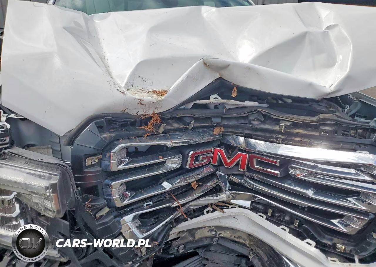 2020 GMC Sierra K1500 Slt VIN:3GTU9DED1LG248719 - 11