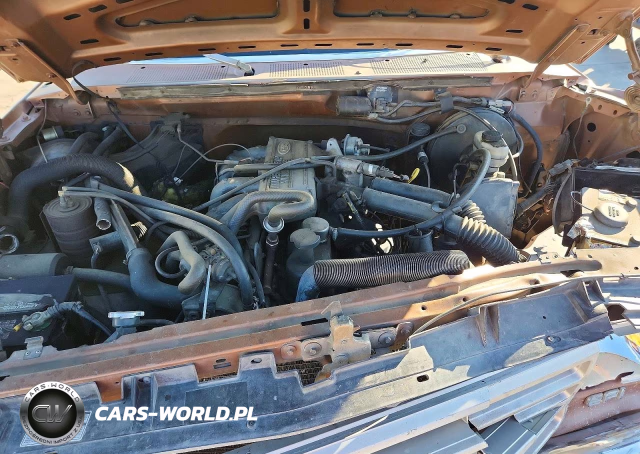 1989 Ford 1-2 Ton VIN:1FTDF15Y6KNB07516 - 11