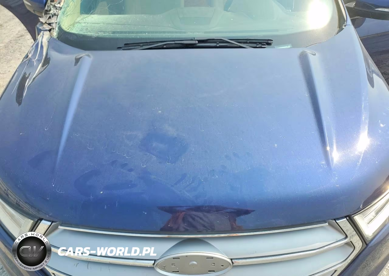 2016 Ford Edge Sel VIN:2FMPK4J85GBC33798 - 12