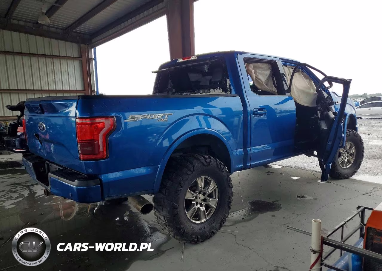 2016 Ford F150 Supercrew VIN:1FTEW1EP5GFB82169 - 3